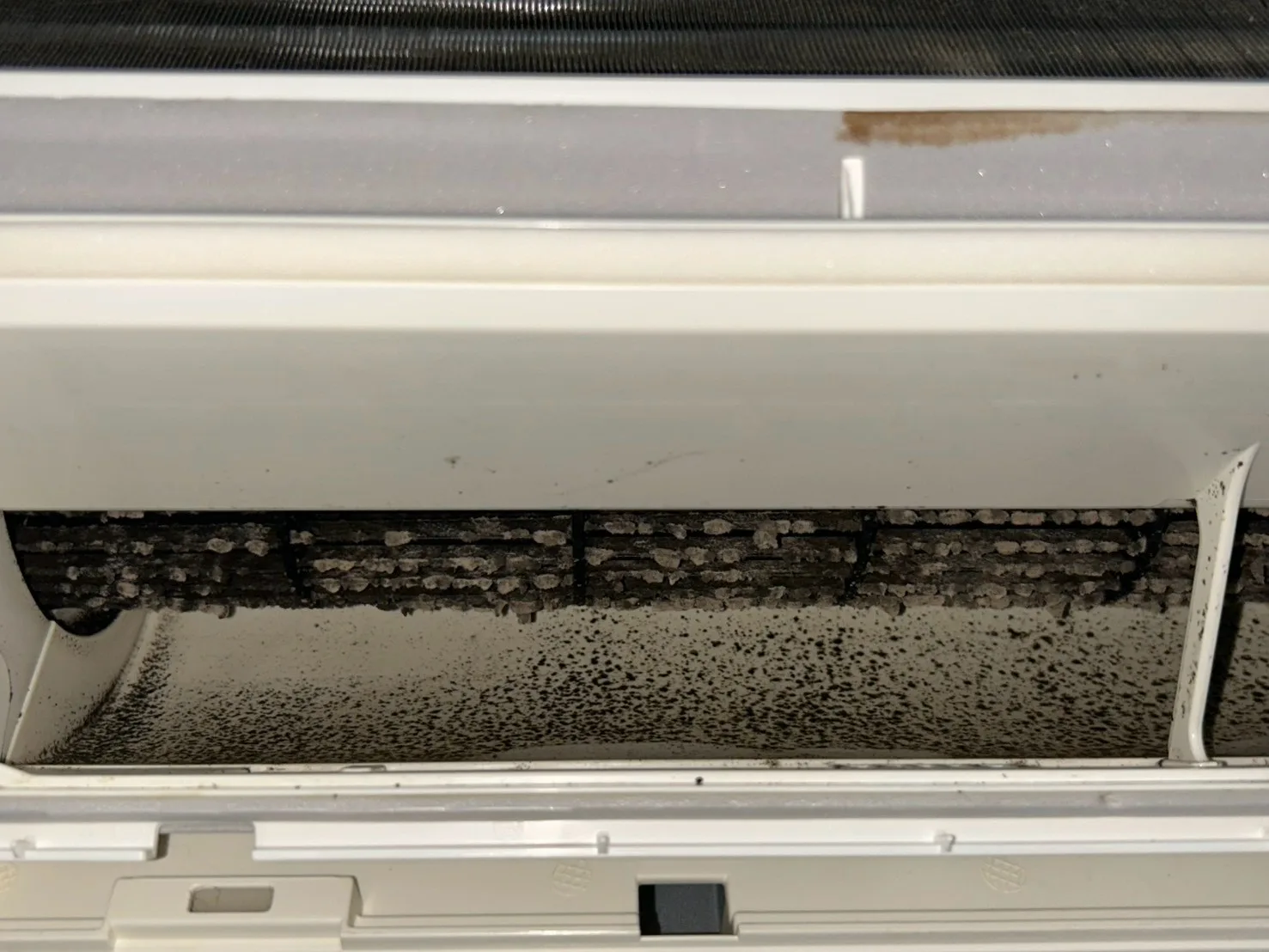 エアコン洗浄
エアコン内部を確認すると黒い汚れがびっしり