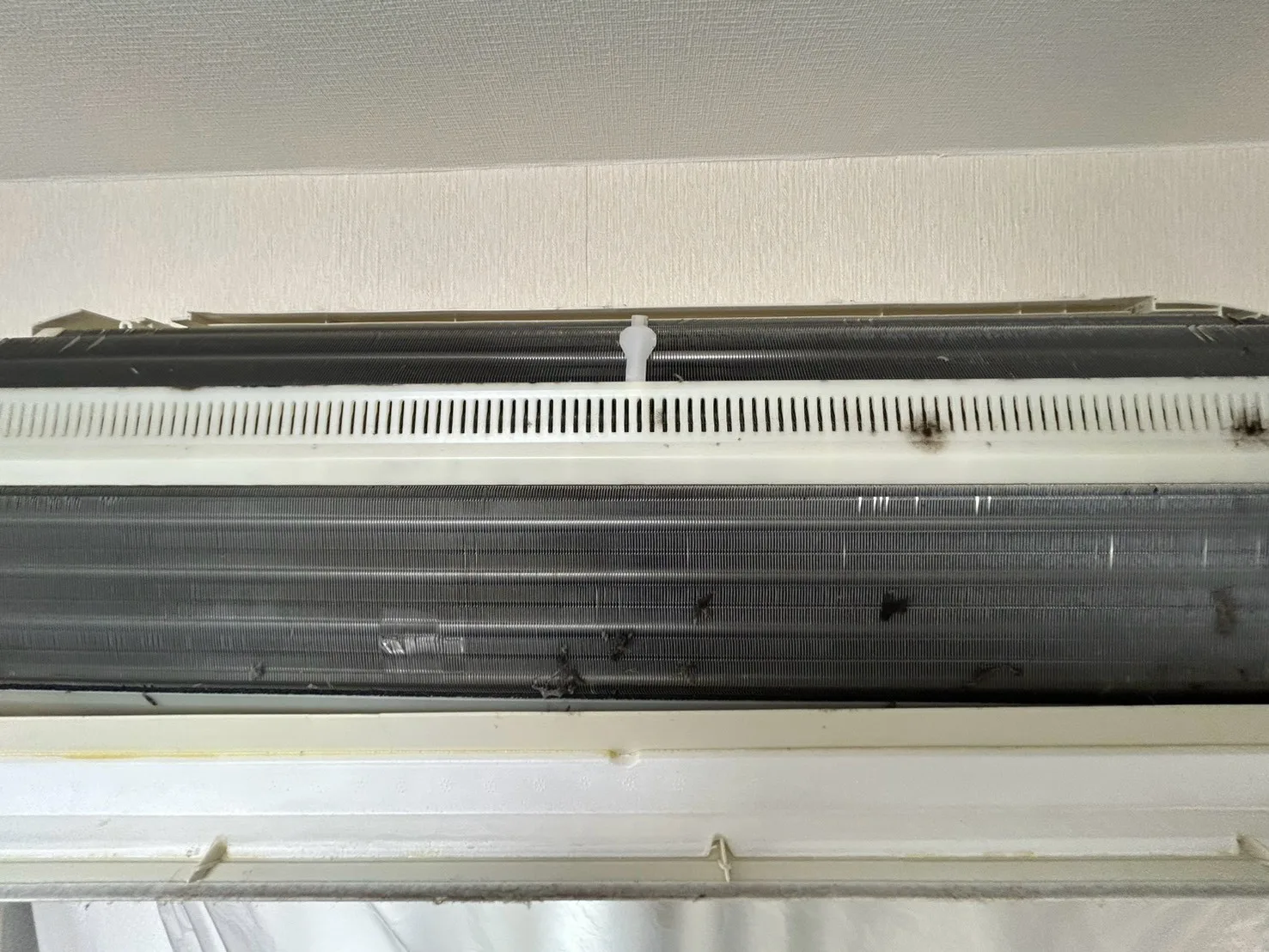 熱交換器や吹き出し口周辺の汚れ