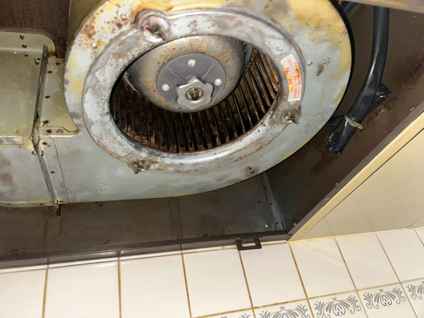 レンジフード内部についても、付着していた油汚れを可能な範囲で丁寧に除去しました。